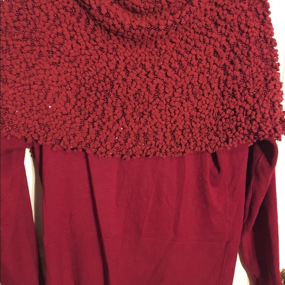 Gabi & Eden shall/cowl sweater - Picture 3 of 6